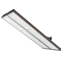 Ray
